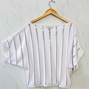 NWT Milly Ilusion Stripe Vertical Pullover Sweater